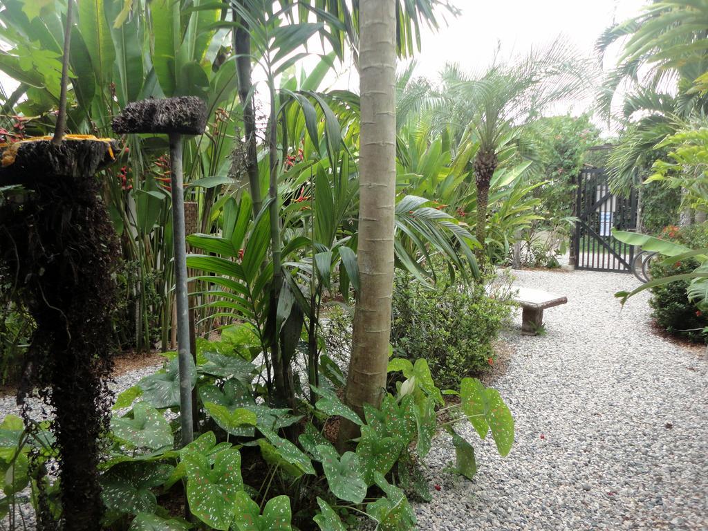 Cabinas Tropicales Пуэрто-Хименес Экстерьер фото