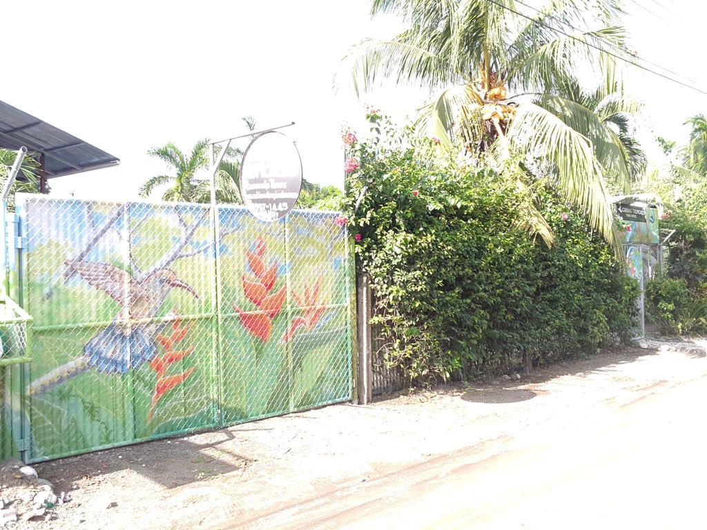 Cabinas Tropicales Пуэрто-Хименес Экстерьер фото